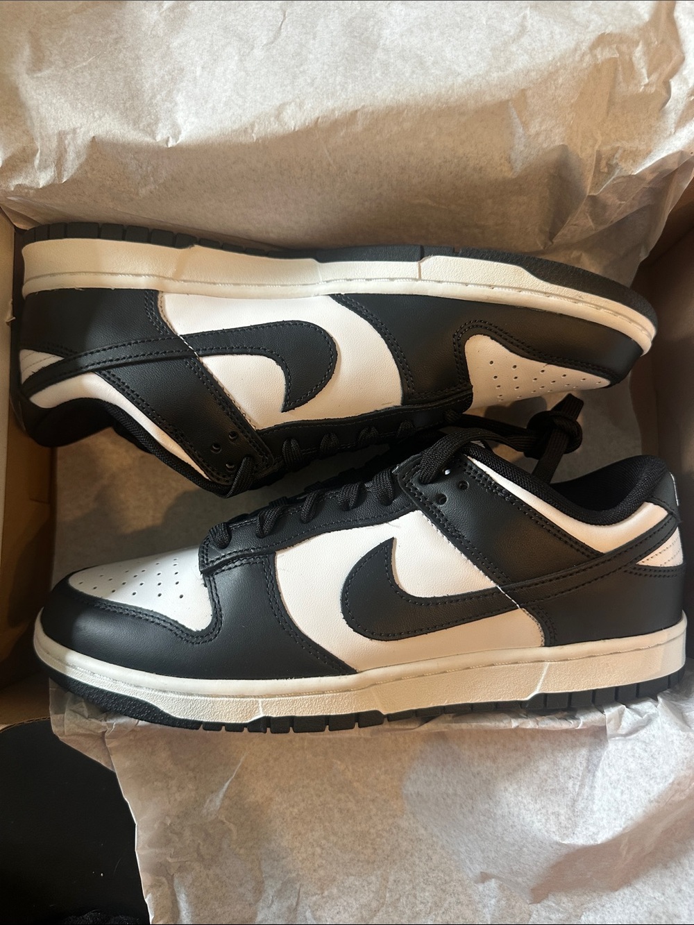 Nike Dunk Low Retro